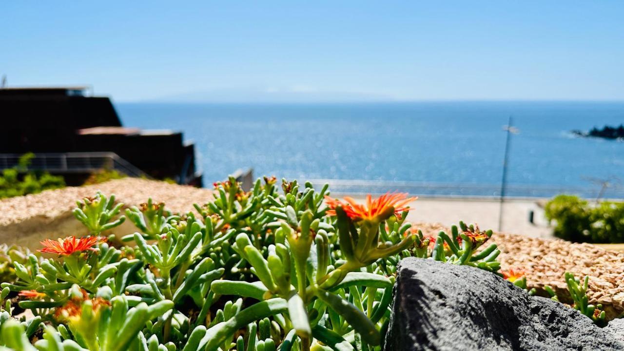 Serigor Bahia Ocean View بويرتو دي سانتياغو المظهر الخارجي الصورة